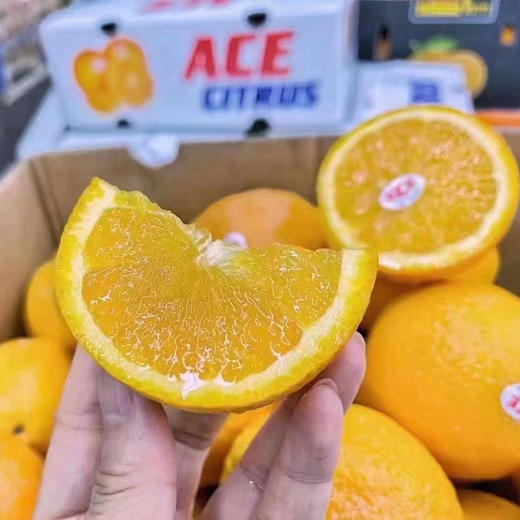 【ACE•澳橙🍊】闪亮登场，登场即惊艳，口味极佳，橙味浓郁，果肉细腻，酸甜可口15只/箱 商品图9