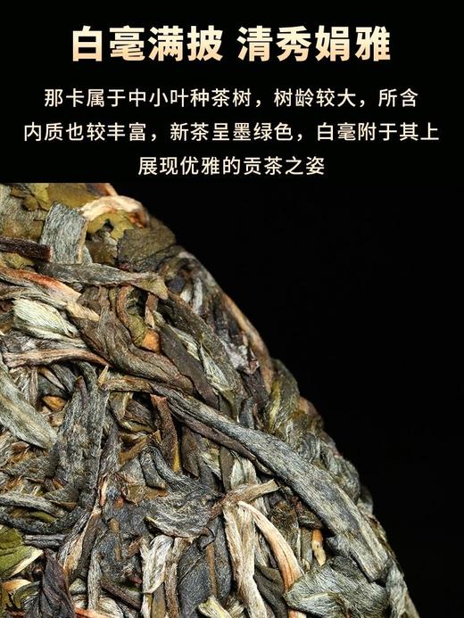 【景迈熟普+那卡生茶】景迈高端熟，一山一味标杆熟普 商品图6