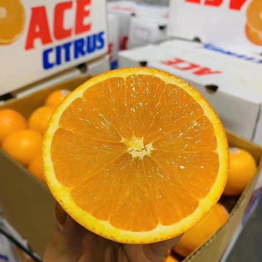 【ACE•澳橙🍊】闪亮登场，登场即惊艳，口味极佳，橙味浓郁，果肉细腻，酸甜可口15只/箱 商品图4