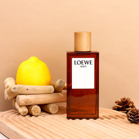 罗1威 唯一 L0ewe Solo L0ewe   分装