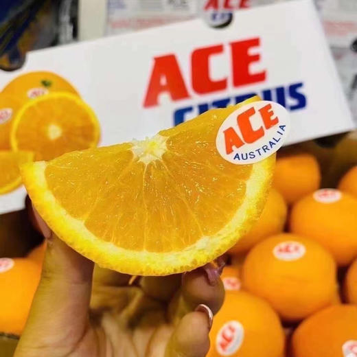 【ACE•澳橙🍊】闪亮登场，登场即惊艳，口味极佳，橙味浓郁，果肉细腻，酸甜可口15只/箱 商品图8