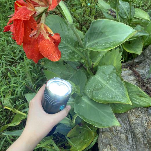 （七折清仓）应急手机USB充电，小巧便携强光持久照明18650手电筒 商品图2