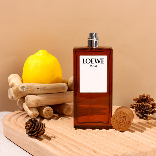 罗1威 唯一 L0ewe Solo L0ewe   分装 商品图1