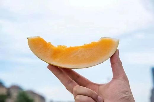 恐龙蛋🥚哈密瓜绝非普通哈密瓜可比‼️ 鲜甜口嫩 好吃的蜜瓜之一清香扑鼻🔹 清爽脆口🔹 伴随着丝丝果香🔹 爱吃脆甜口的来，吃到皮都是甜的！ 商品图2