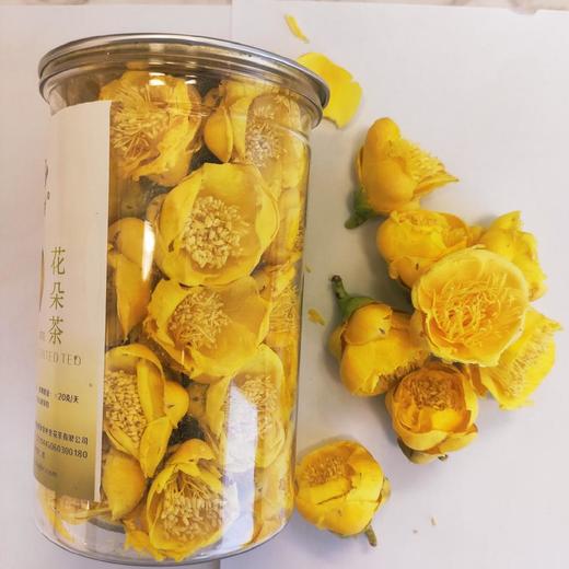 【“茶族皇后”•金花茶】“东方魔茶”“植物中的大熊猫”广西防城港金花茶长寿茶养护血管清理自由基 商品图3