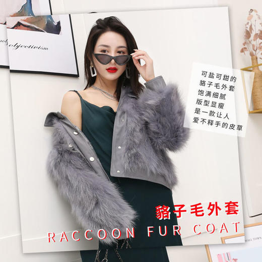 【服饰鞋包】女新款真毛海宁狐狸貉子皮草外套短款机车服网红同款年轻韩 商品图2
