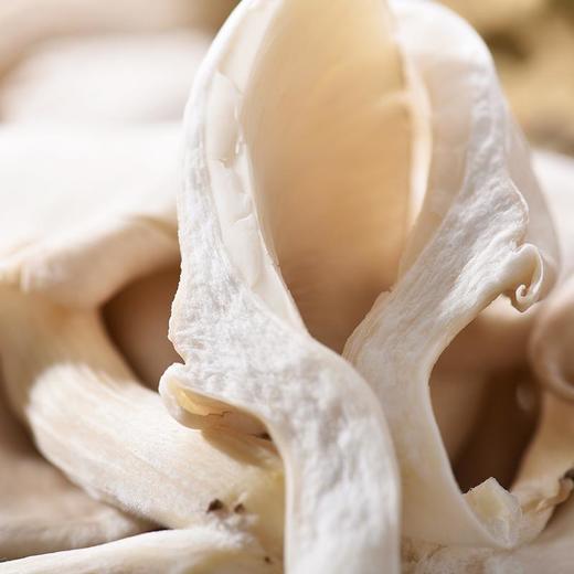 姬菇 约200g/份 商品图3