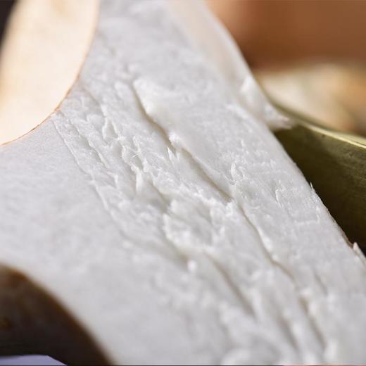 猪肚菌 约80g/份(煲汤/爆炒/涮火) 商品图3