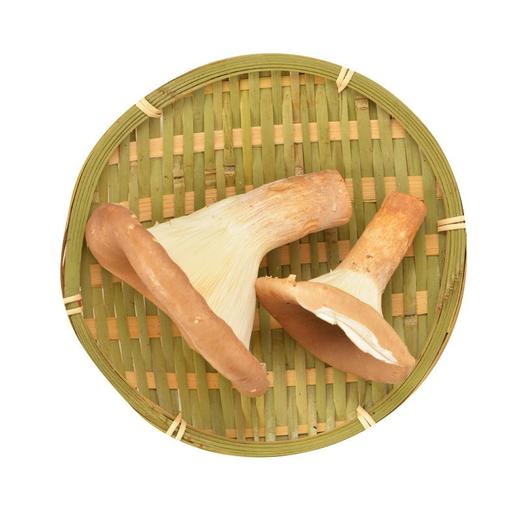 猪肚菌 约80g/份(煲汤/爆炒/涮火) 商品图1