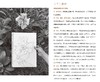 版纳春深——郭子良西双版纳植物写生线描精选——福建美术出版社 商品缩略图3