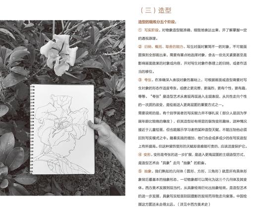 版纳春深——郭子良西双版纳植物写生线描精选——福建美术出版社 商品图3