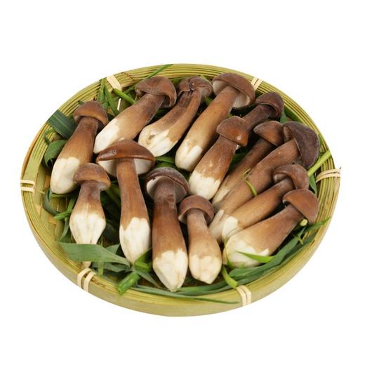 黑皮鸡枞菌 新鲜 约100g/份 商品图0