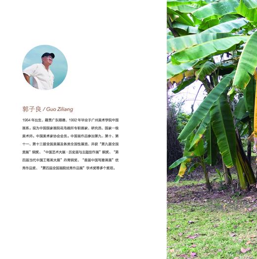 版纳春深——郭子良西双版纳植物写生线描精选——福建美术出版社 商品图2