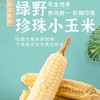 珍珠小玉米 商品缩略图0