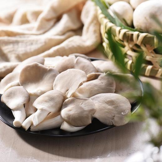 袖珍菇 约200g/份（迷你菇类） 商品图2