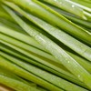 小韭菜 约250g/袋 商品缩略图3