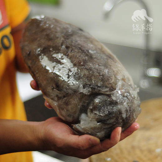 野生东山岛墨鱼 | 合作生产 * Wild- cuttlefish | Coproduction 商品图0