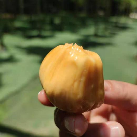 榴莲蜜  糯蜜包  第三代榴莲蜜 商品图3