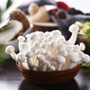 白玉菇 约115g/份 商品缩略图2
