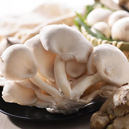 姬菇 约200g/份 商品图2