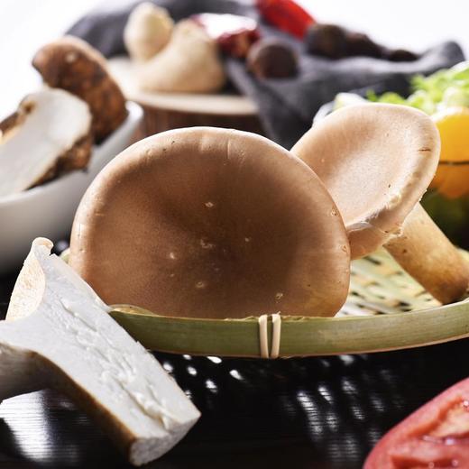 猪肚菌 约80g/份(煲汤/爆炒/涮火) 商品图2