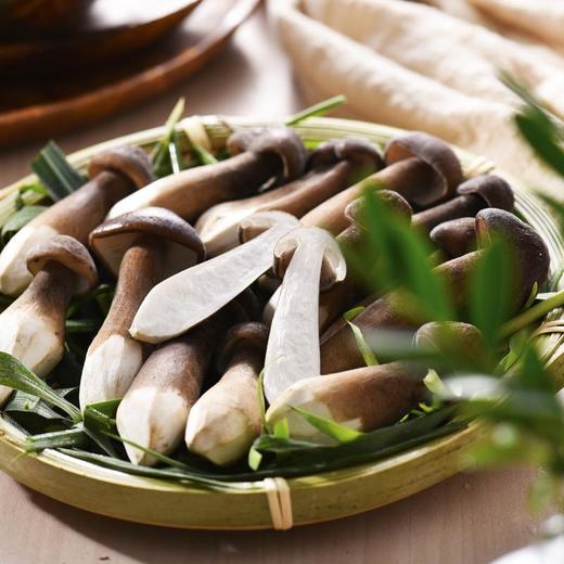 黑皮鸡枞菌 新鲜 约100g/份 商品图2