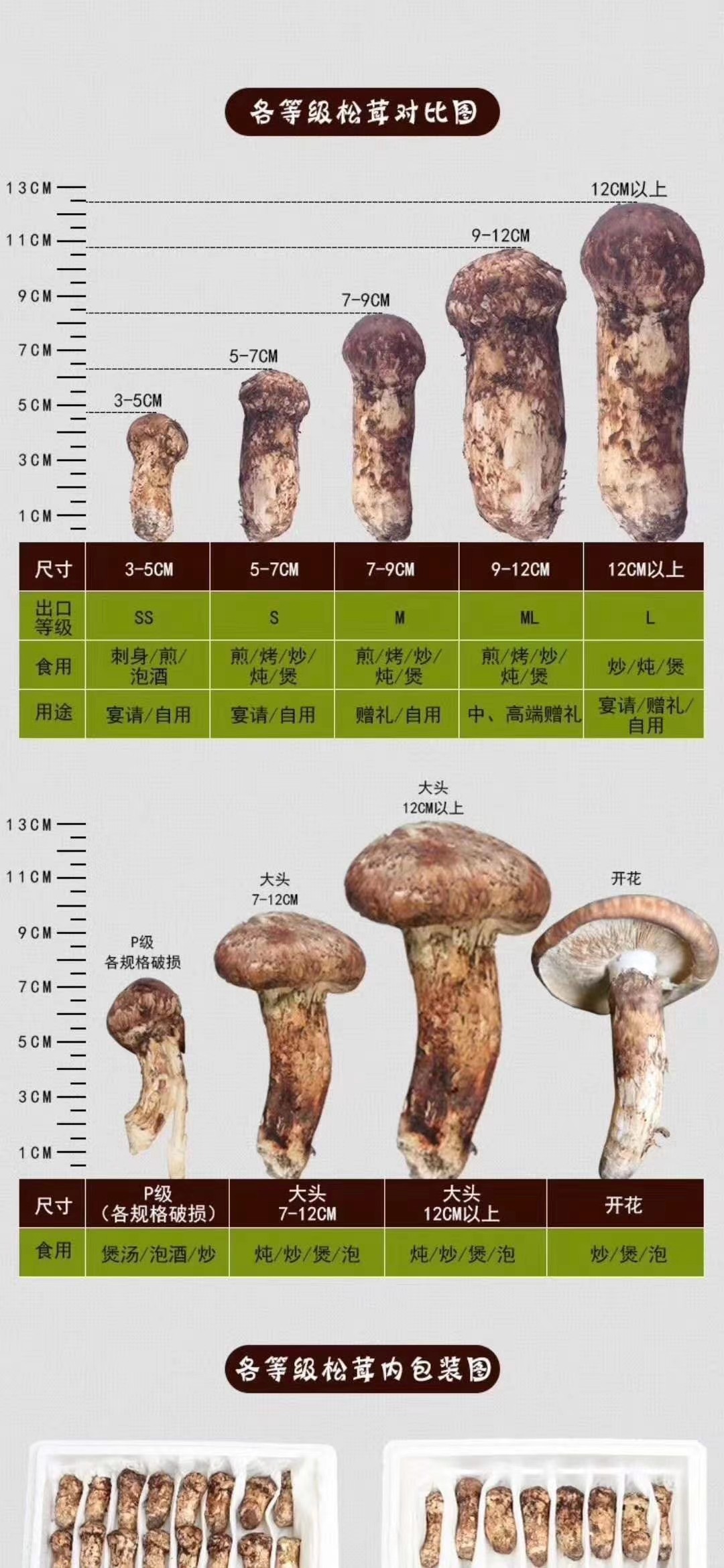 【中国松茸之乡】海拔3500米 甘孜雅江松茸 2斤一箱【下单24小时发货