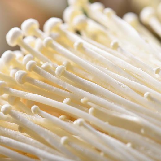 银针菇 约200g/份（金针菇/火锅） 商品图3