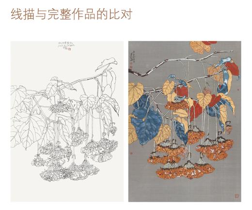 版纳春深——郭子良西双版纳植物写生线描精选——福建美术出版社 商品图4