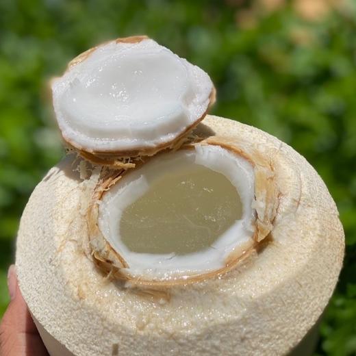 泰国椰青 商品图0