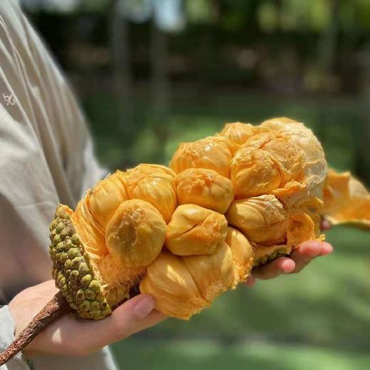 榴莲蜜  糯蜜包  第三代榴莲蜜 商品图1