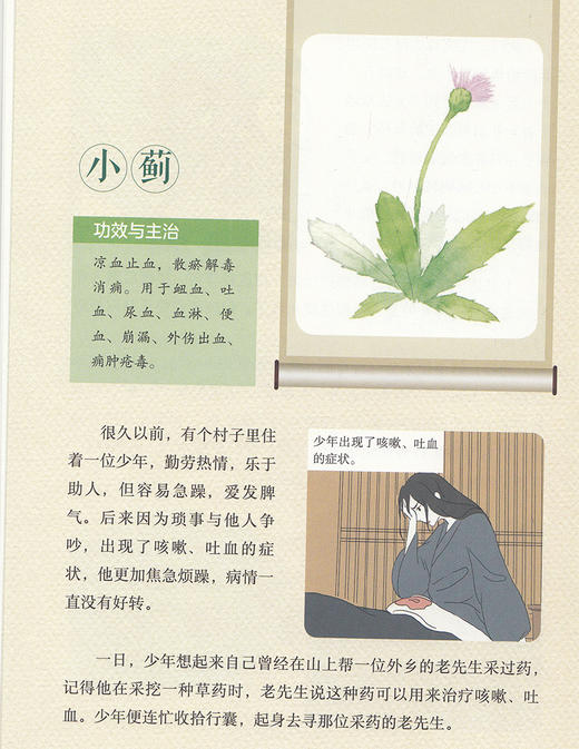 漫画中药故事 上下册 中医药文化传承系列 王诗源 尹永田 主编 中医学书籍中药草药功效药学医学 中国医药科技出版社9787521426472 商品图4