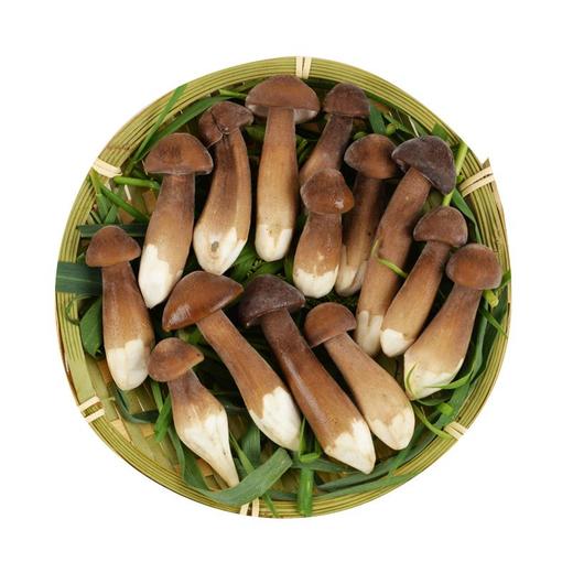黑皮鸡枞菌 新鲜 约100g/份 商品图1