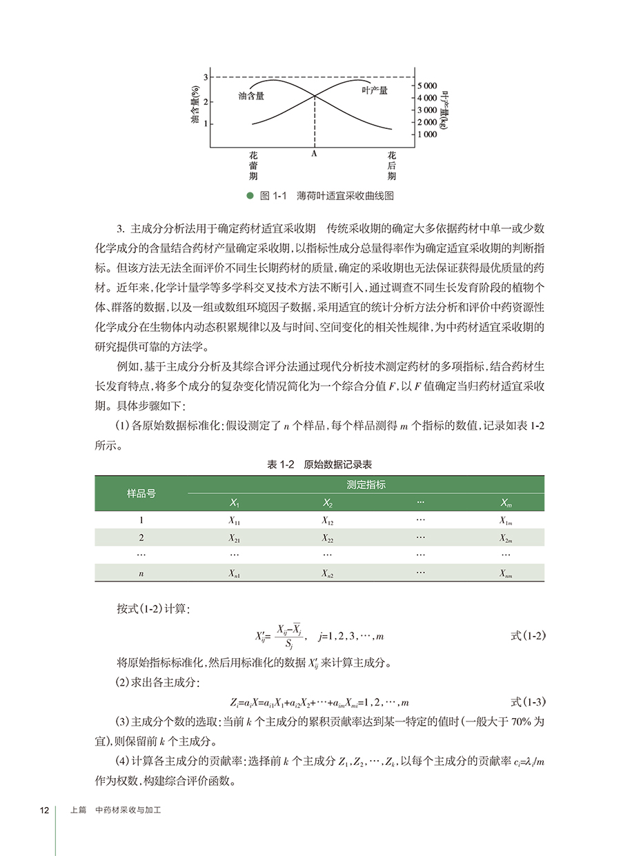 31373(yz) (5).jpg