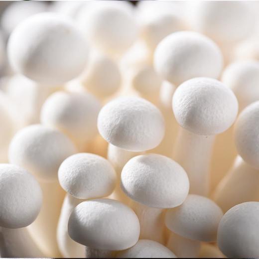 白玉菇 约115g/份 商品图3