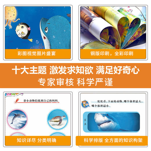 全套10册儿童绘本阅读幼儿园0-1-2岁4岁到3一6-8岁幼儿图书早教启蒙读物适合大班中班故事书宝宝书籍漫画书三岁孩子看的书本漫画书 商品图4