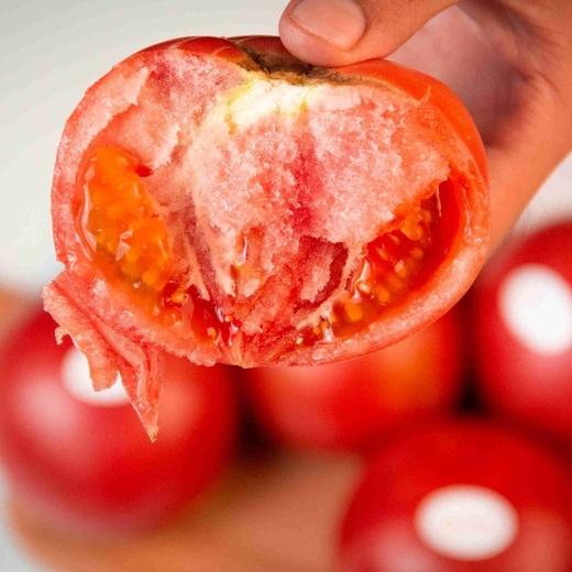 阳柿子 口感番茄 西红柿