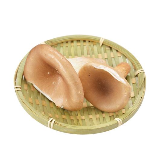 猪肚菌 约80g/份(煲汤/爆炒/涮火) 商品图0