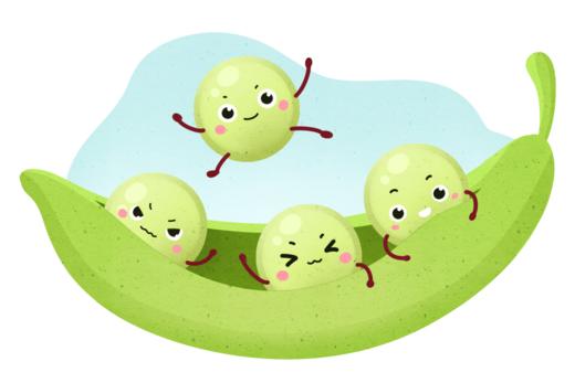 干货：便秘最怕这4类食材 商品图0