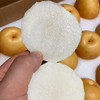 【厂商直发】小空山有机水果圆黄梨清甜多汁多规格可选包邮 商品缩略图6