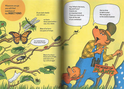 贝贝熊科学与自然大书 英文原版 Berenstain Bears' Big Book of Science and Nature 科普类图画故事书 英文版进口英语书籍 商品图2