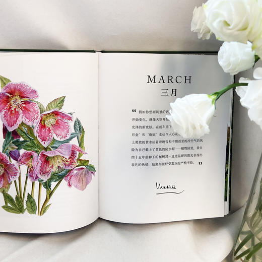 王子的花园 精装 3001028 商品图5