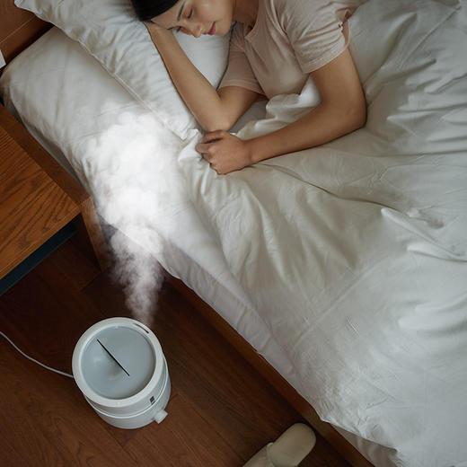 德尔玛加湿器DEM-SJS600 5L大容量静音卧室办公室香薰机 商品图2
