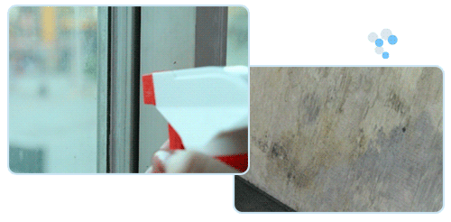  家里发霉危害多！用它一喷一擦，快速除菌，1瓶才十几块！ 