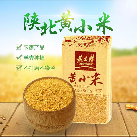 黄土情真空黄小米500g 商品图1