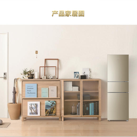 海尔（Haier）冰箱BCD-216WMPT 商品图8