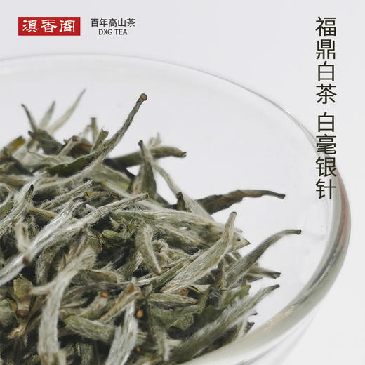 白毫银针 福鼎管阳纯料 出口德国 25克/罐 商品图8