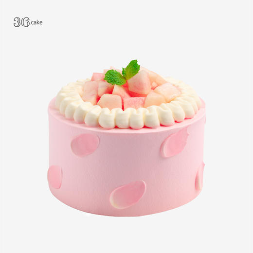 迷你多肉蛋糕三选一，可选4英寸 商品图2