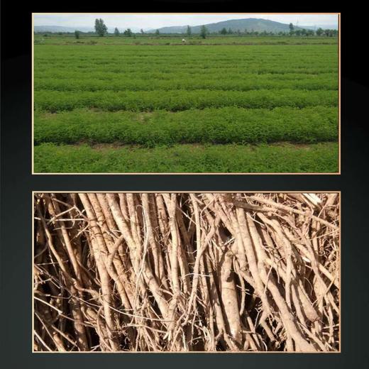 【有机黄芪】神农葆易圣有机黄芪160g健康有机无硫磺、无农残、无化肥真正高品质的黄芪 商品图5