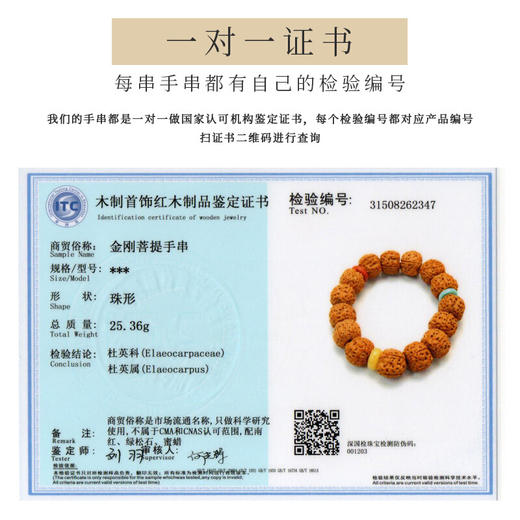 六鑫珠宝  尼泊尔五瓣爆肉双龙纹大金刚菩提手串14-15mm 商品图2